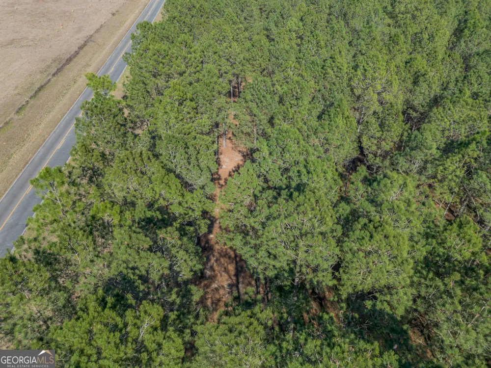LOT 2 Ben Giddens RD Eastman, GA 31023