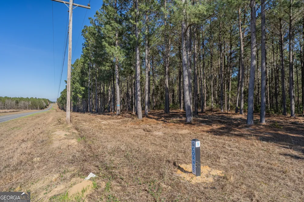 LOT 2 Ben Giddens RD Eastman, GA 31023