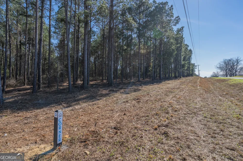 LOT 2 Ben Giddens RD Eastman, GA 31023
