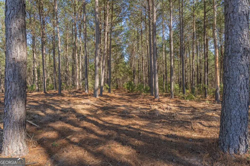 LOT 2 Ben Giddens RD Eastman, GA 31023