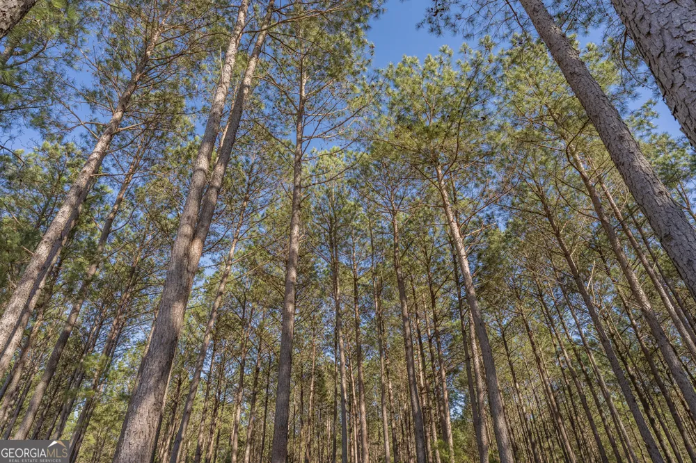 LOT 2 Ben Giddens RD Eastman, GA 31023