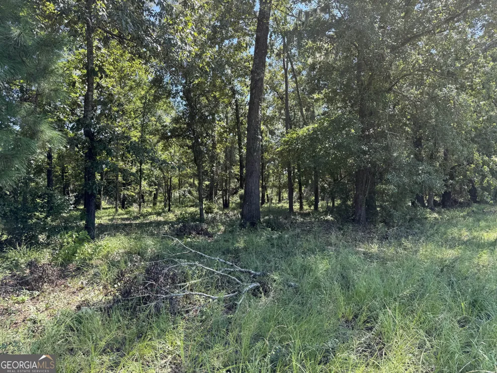 0 Sunbury RD Claxton, GA 30417