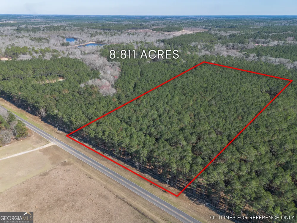LOT 3 Ben Giddens RD Eastman, GA 31023