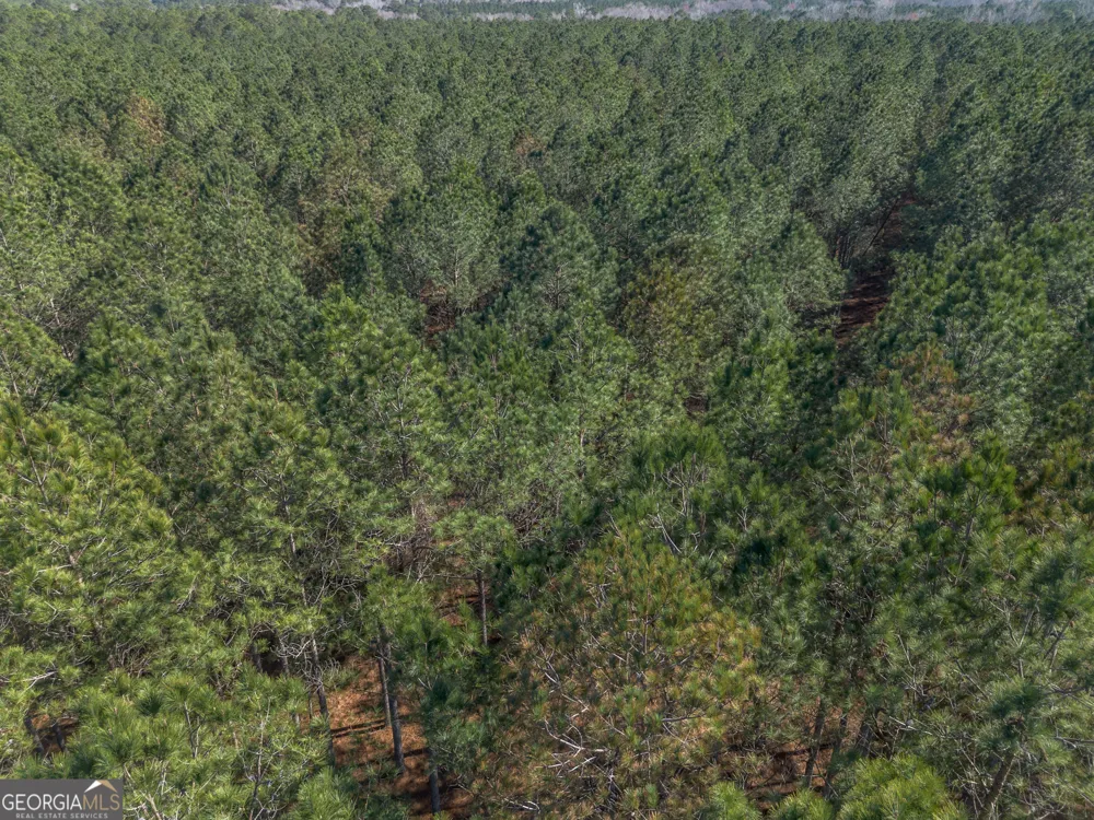 LOT 3 Ben Giddens RD Eastman, GA 31023