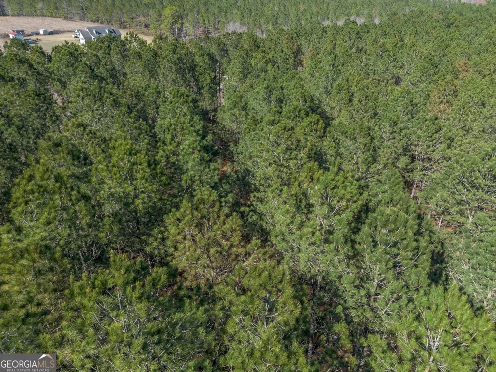 LOT 3 Ben Giddens RD Eastman, GA 31023