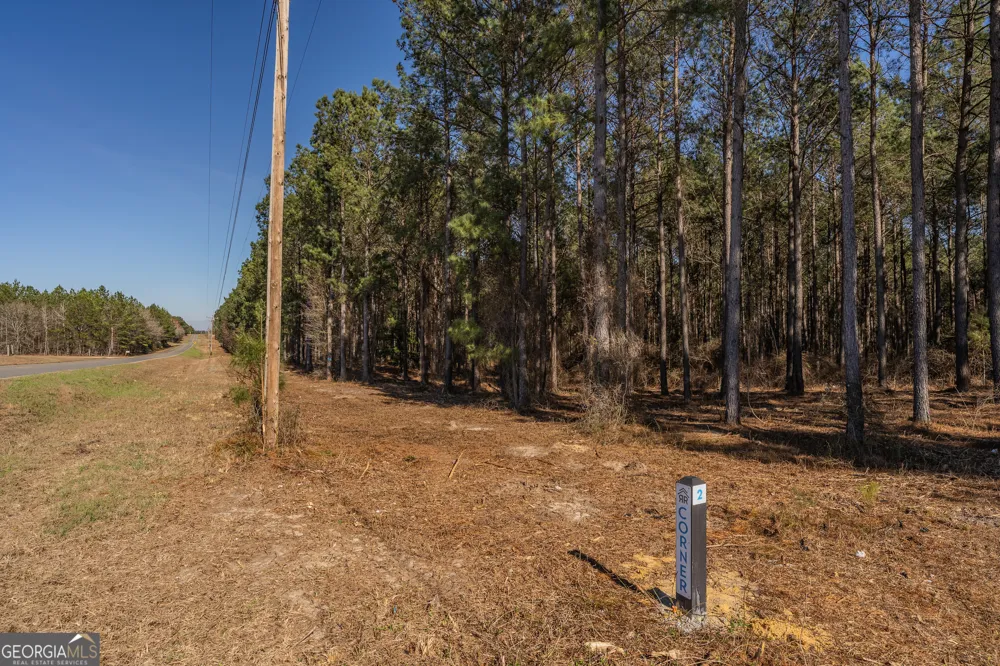 LOT 3 Ben Giddens RD Eastman, GA 31023