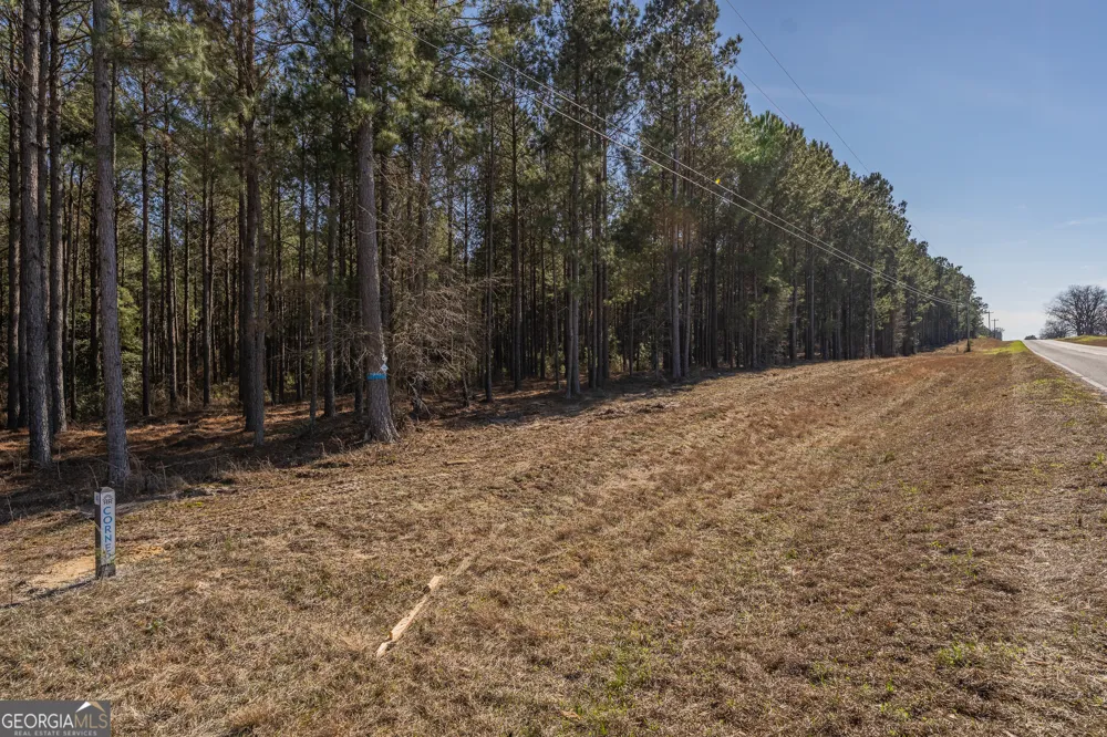 LOT 3 Ben Giddens RD Eastman, GA 31023