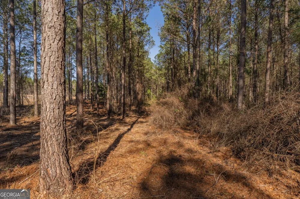 LOT 3 Ben Giddens RD Eastman, GA 31023