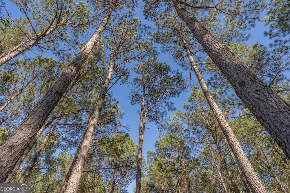 LOT 3 Ben Giddens RD Eastman, GA 31023