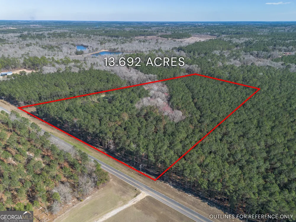 LOT 4 Ben Giddens RD Eastman, GA 31023
