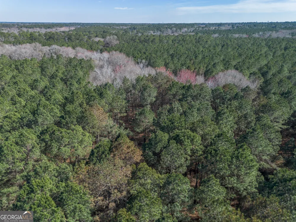 LOT 4 Ben Giddens RD Eastman, GA 31023
