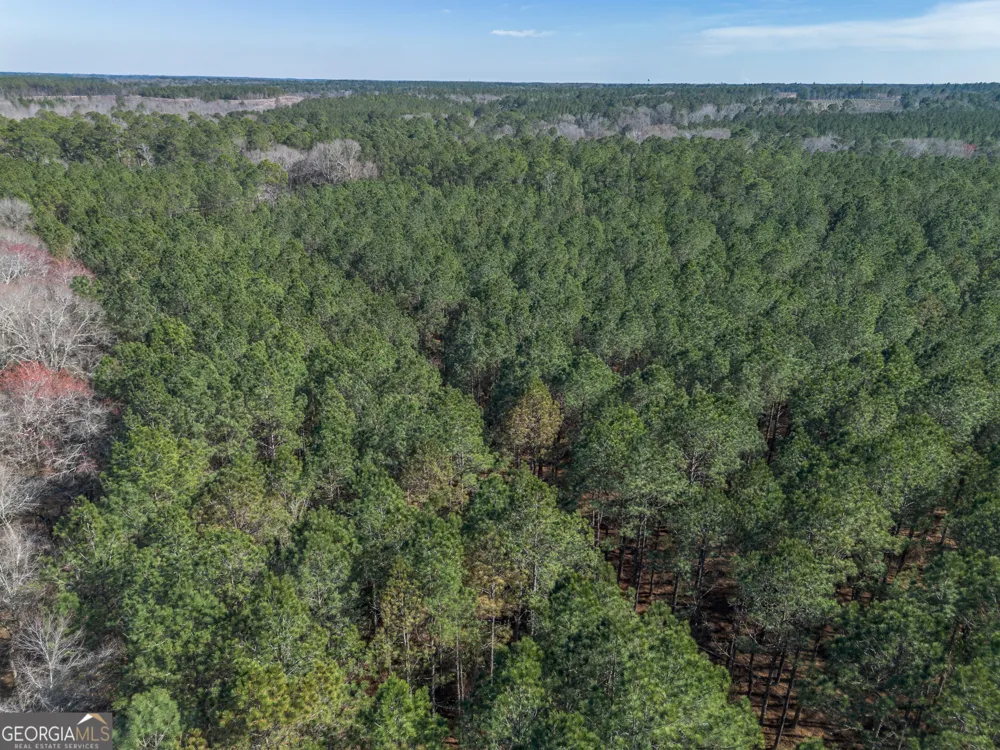 LOT 4 Ben Giddens RD Eastman, GA 31023