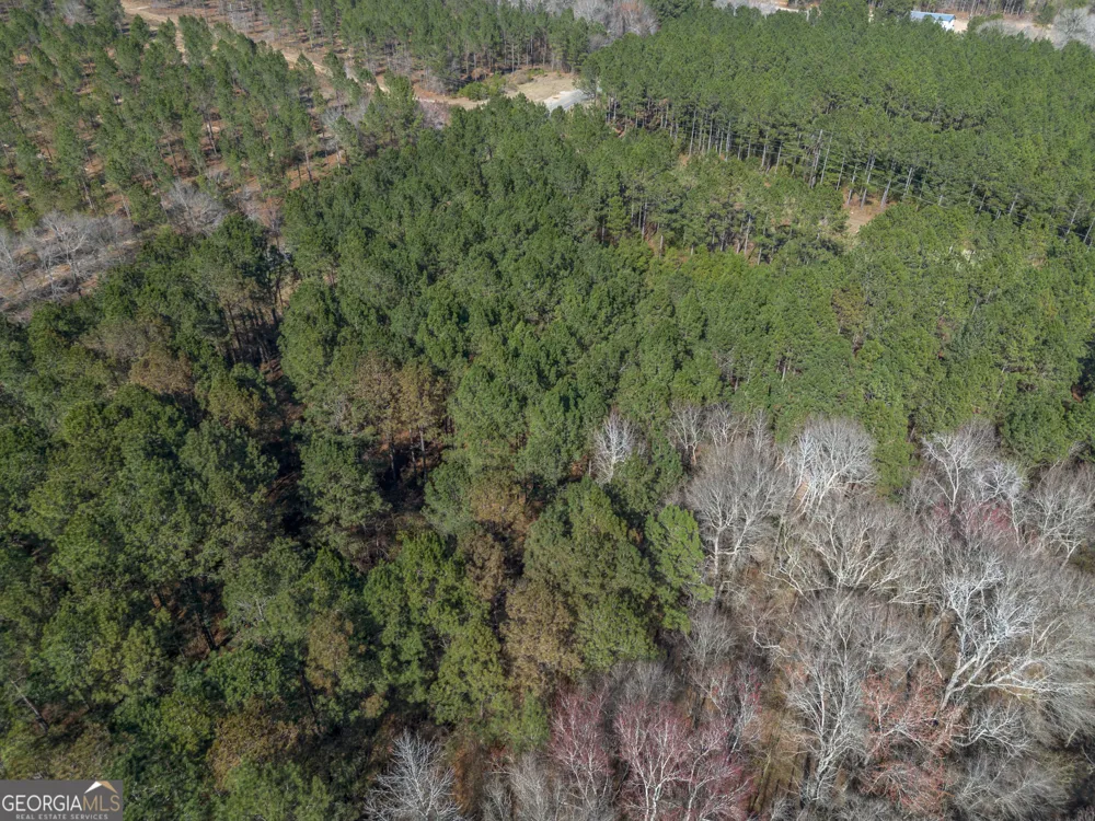 LOT 4 Ben Giddens RD Eastman, GA 31023