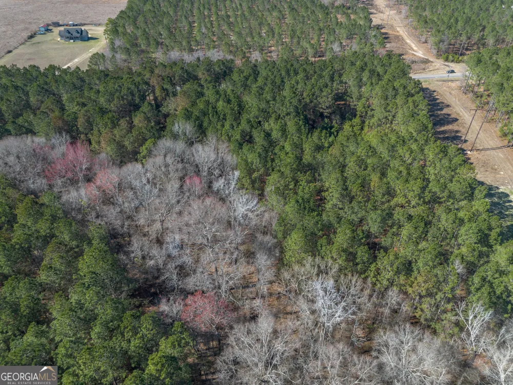 LOT 4 Ben Giddens RD Eastman, GA 31023