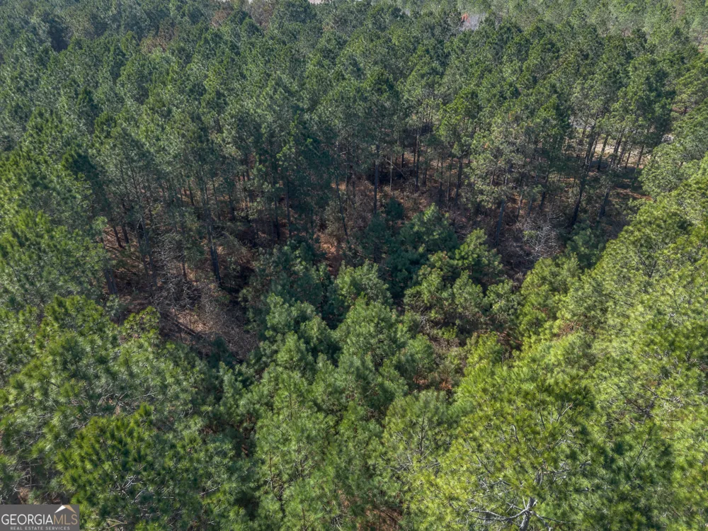 LOT 4 Ben Giddens RD Eastman, GA 31023