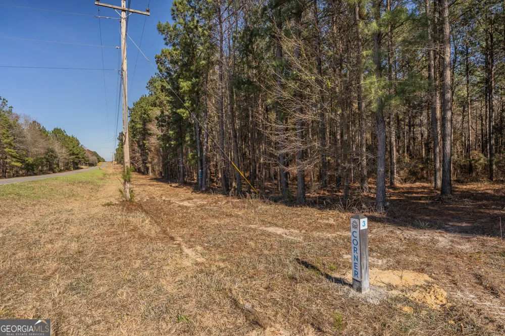 LOT 4 Ben Giddens RD Eastman, GA 31023