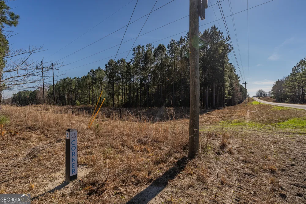 LOT 4 Ben Giddens RD Eastman, GA 31023