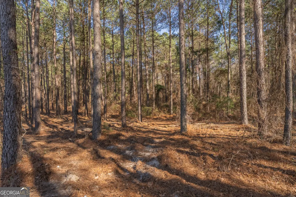 LOT 4 Ben Giddens RD Eastman, GA 31023