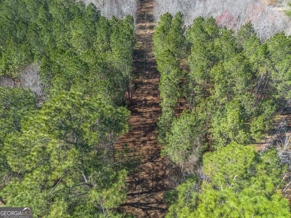 LOT 6 Golf Course RD Eastman, GA 31023