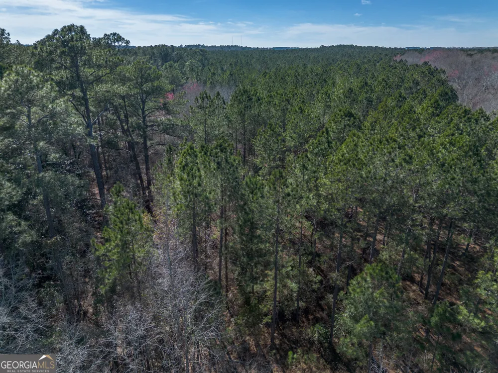 LOT 6 Golf Course RD Eastman, GA 31023