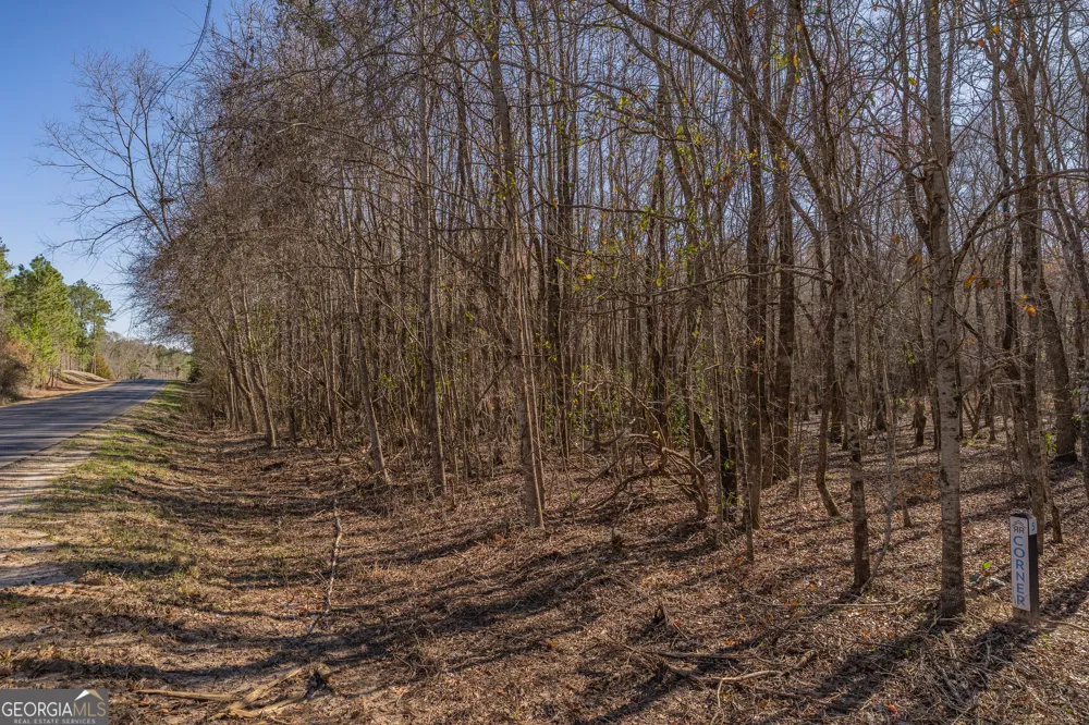 LOT 6 Golf Course RD Eastman, GA 31023