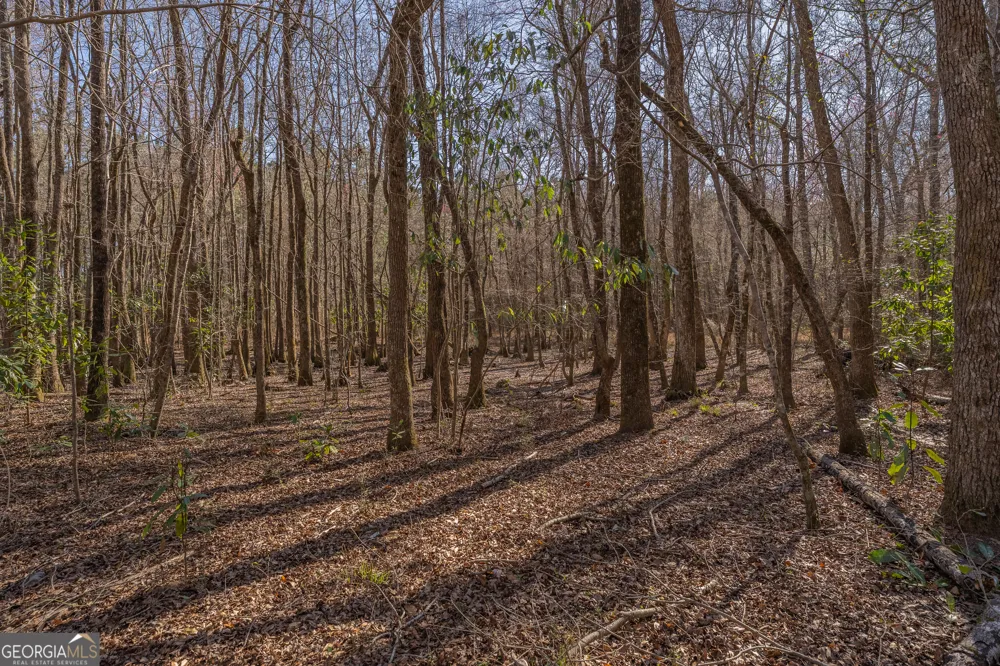 LOT 6 Golf Course RD Eastman, GA 31023