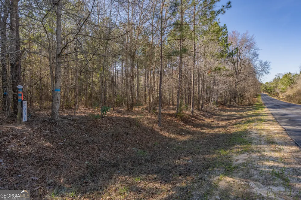 LOT 6 Golf Course RD Eastman, GA 31023