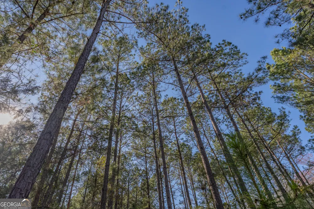 LOT 6 Golf Course RD Eastman, GA 31023