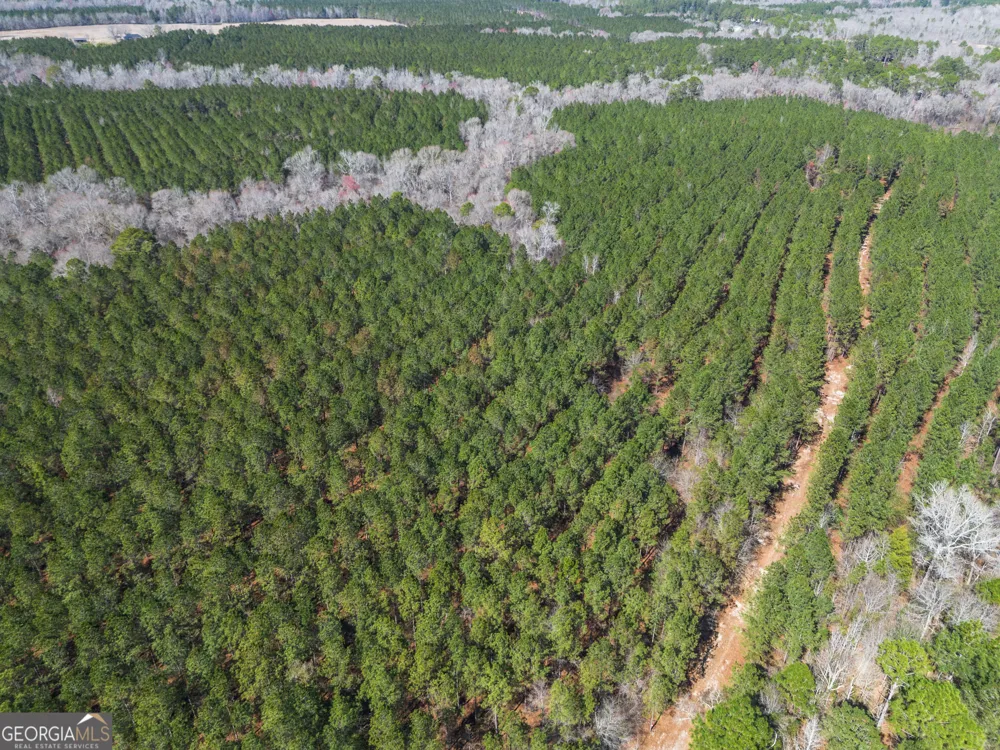 LOT 7 Golf Course RD Eastman, GA 31023