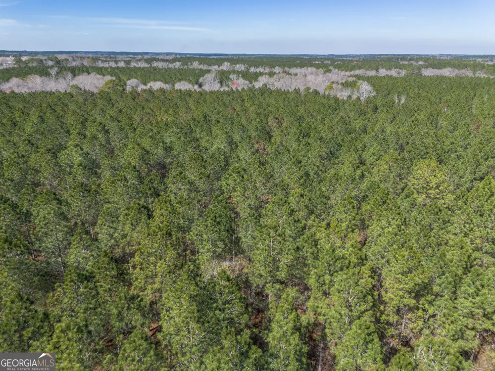 LOT 7 Golf Course RD Eastman, GA 31023
