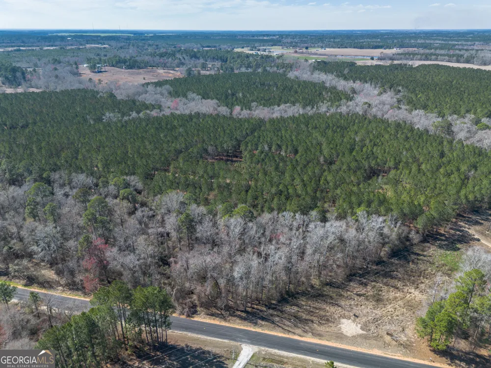LOT 7 Golf Course RD Eastman, GA 31023
