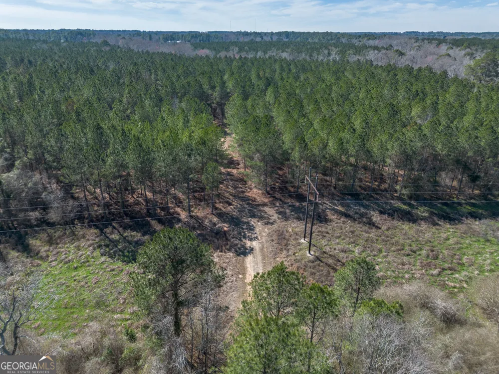 LOT 7 Golf Course RD Eastman, GA 31023