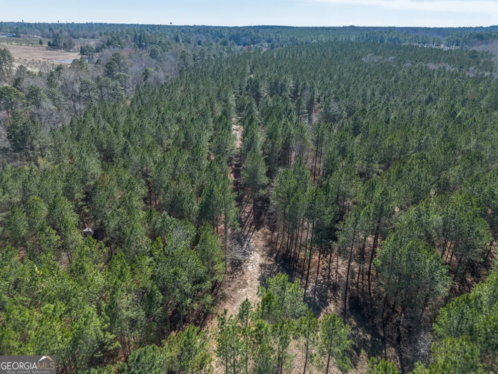 LOT 7 Golf Course RD Eastman, GA 31023
