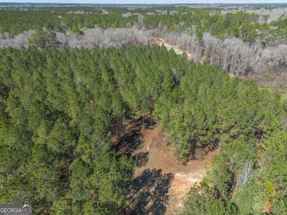 LOT 7 Golf Course RD Eastman, GA 31023