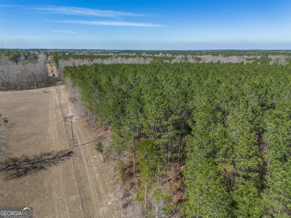 LOT 7 Golf Course RD Eastman, GA 31023
