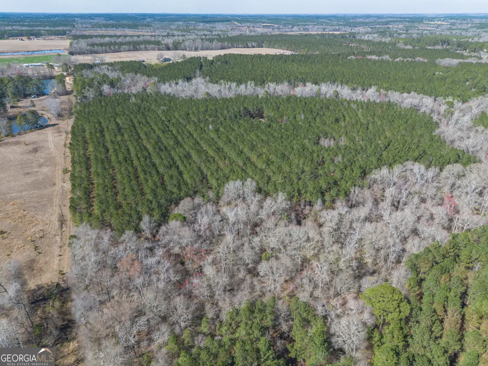LOT 7 Golf Course RD Eastman, GA 31023