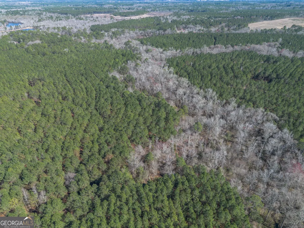 LOT 7 Golf Course RD Eastman, GA 31023