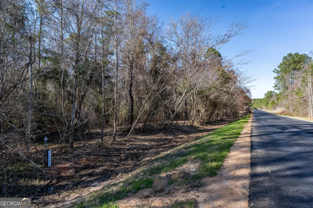 LOT 7 Golf Course RD Eastman, GA 31023