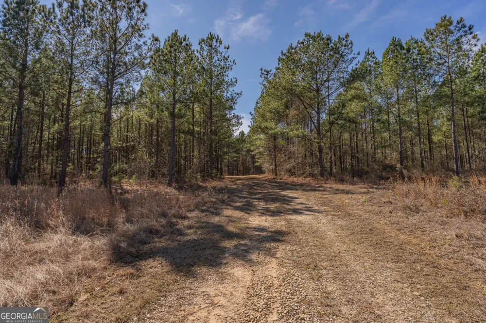 LOT 7 Golf Course RD Eastman, GA 31023