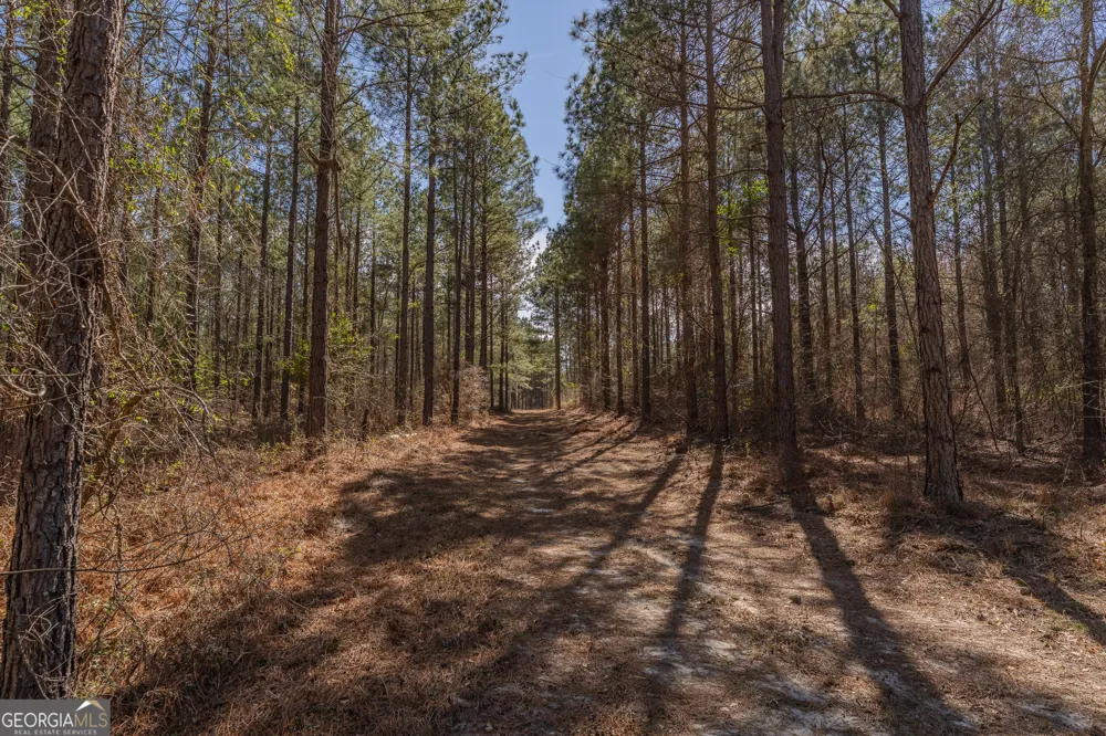 LOT 7 Golf Course RD Eastman, GA 31023