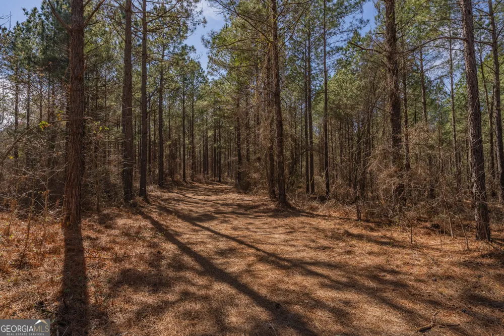 LOT 7 Golf Course RD Eastman, GA 31023