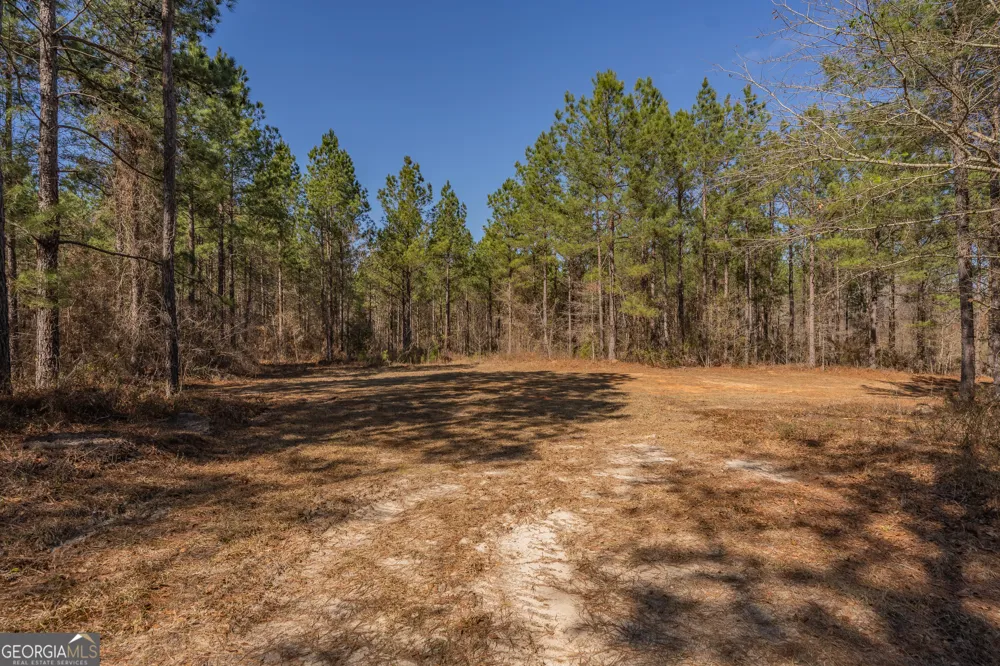 LOT 7 Golf Course RD Eastman, GA 31023