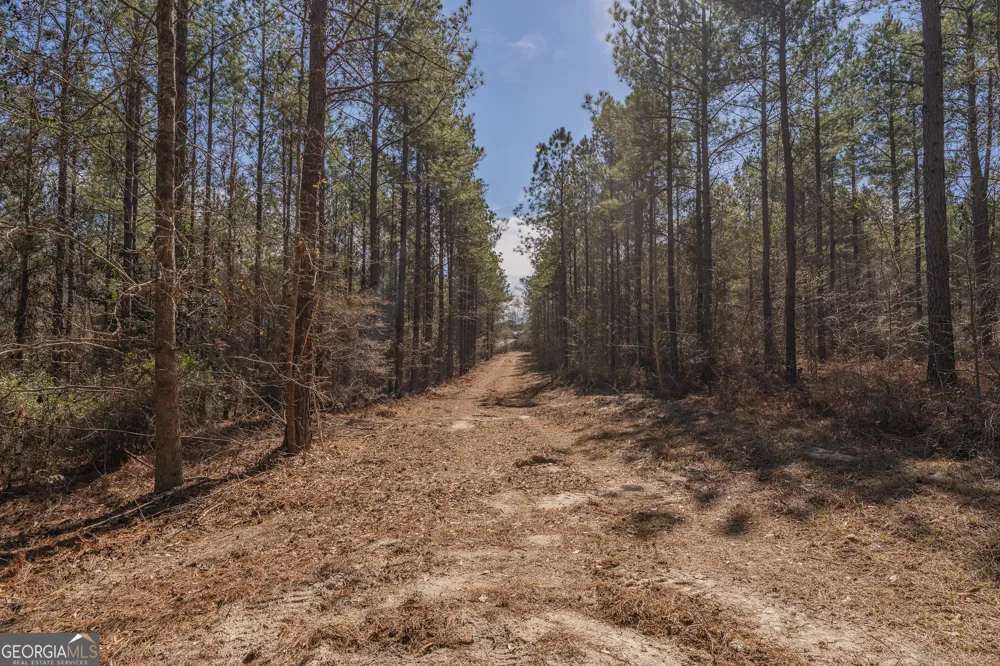 LOT 7 Golf Course RD Eastman, GA 31023