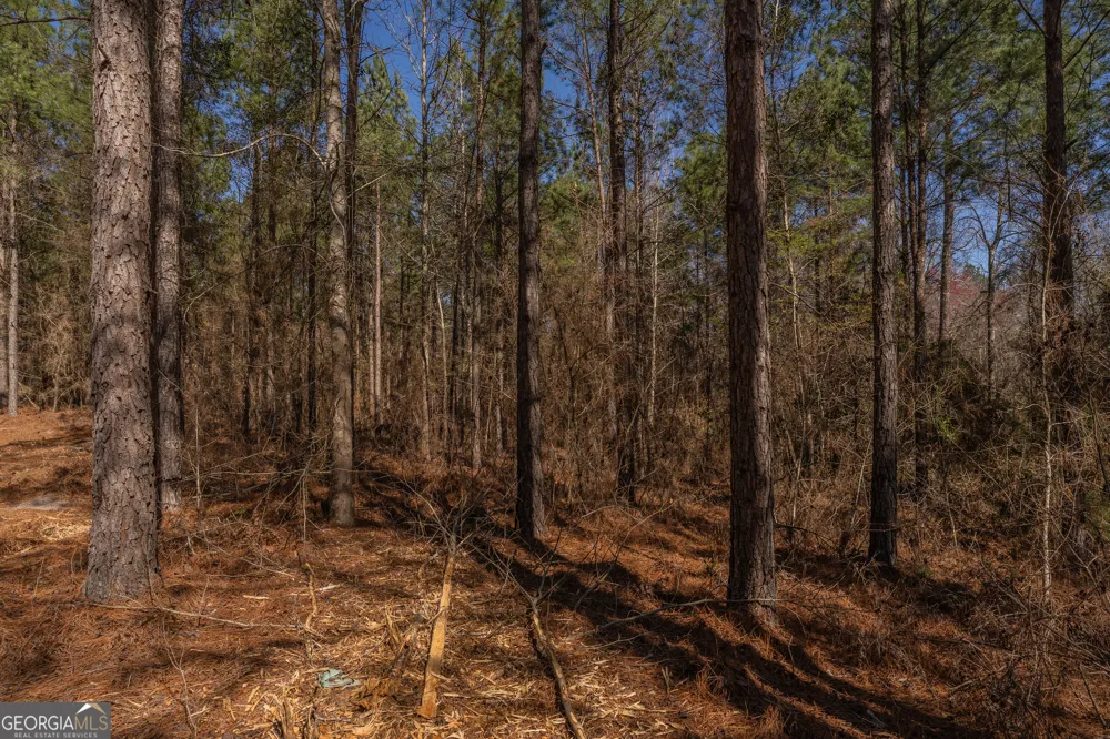 LOT 7 Golf Course RD Eastman, GA 31023