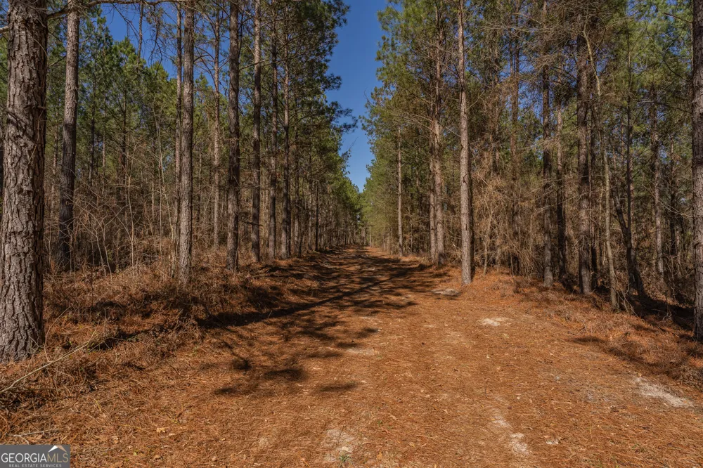 LOT 7 Golf Course RD Eastman, GA 31023