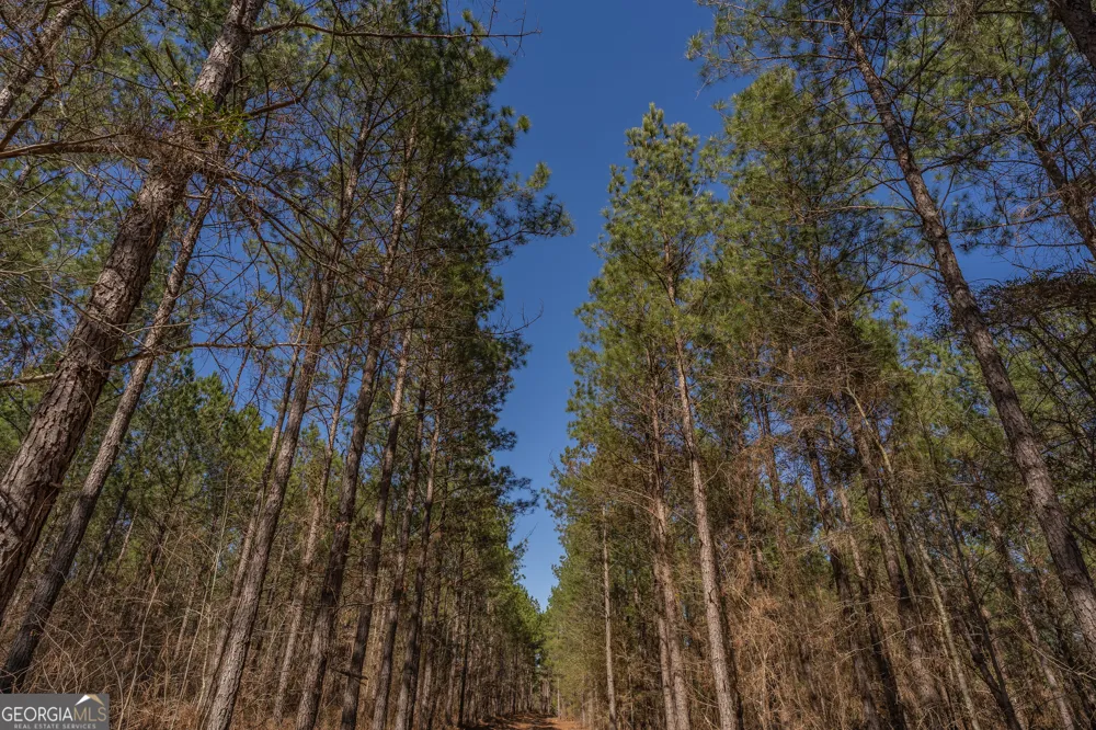 LOT 7 Golf Course RD Eastman, GA 31023