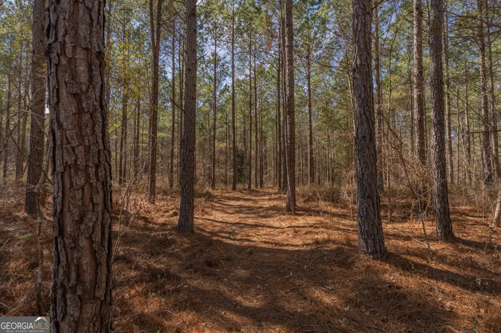 LOT 7 Golf Course RD Eastman, GA 31023