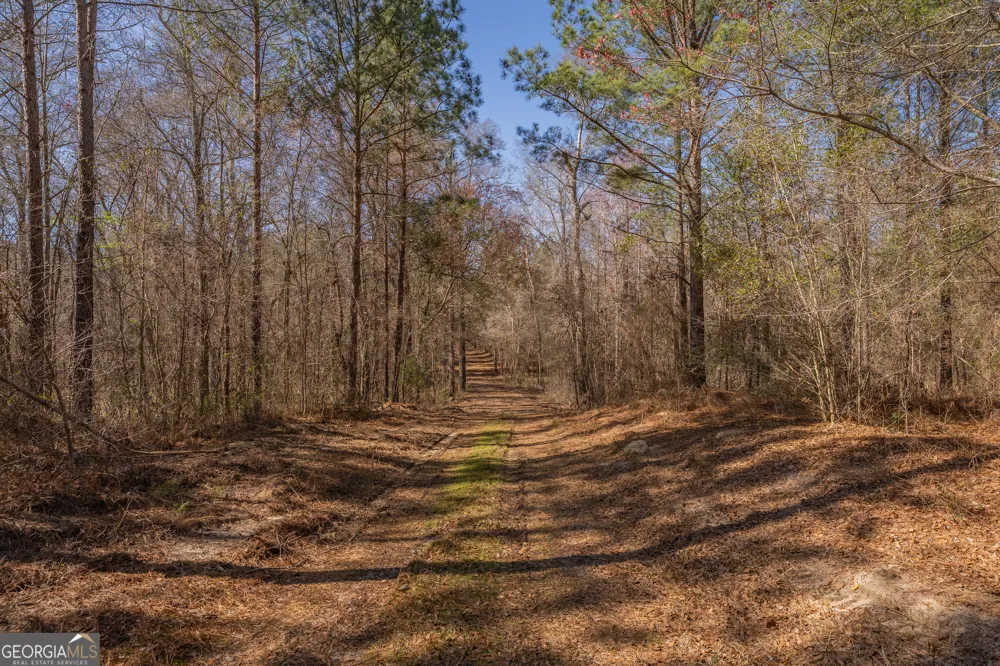 LOT 7 Golf Course RD Eastman, GA 31023