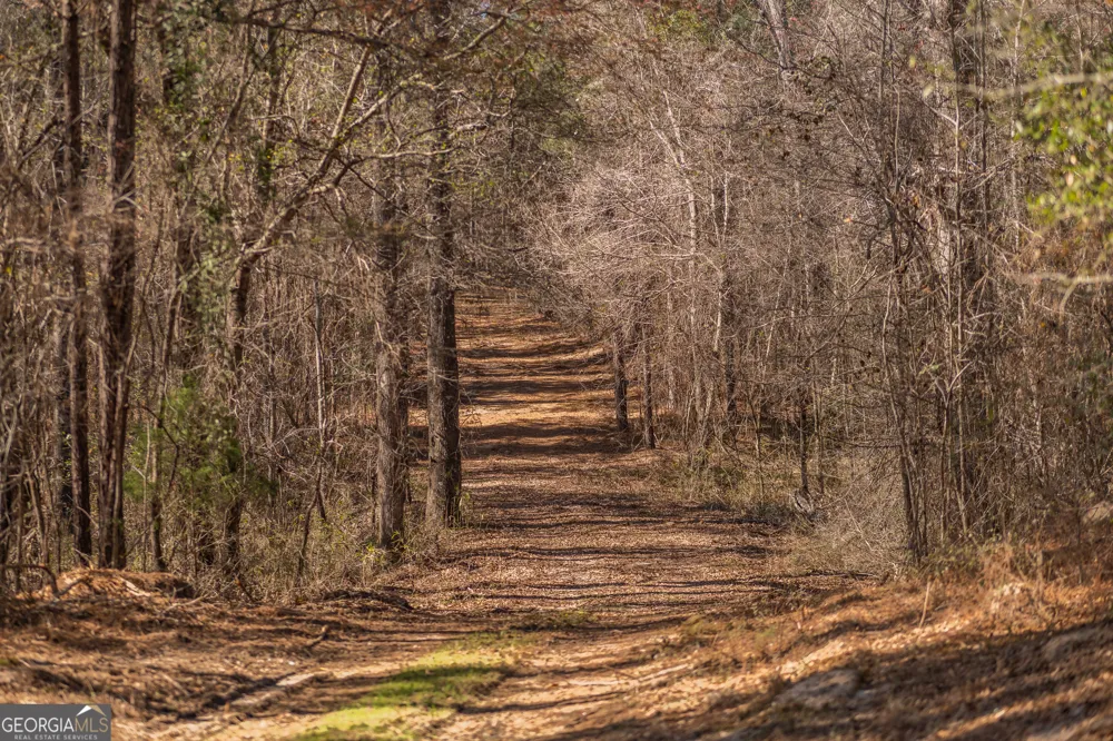 LOT 7 Golf Course RD Eastman, GA 31023
