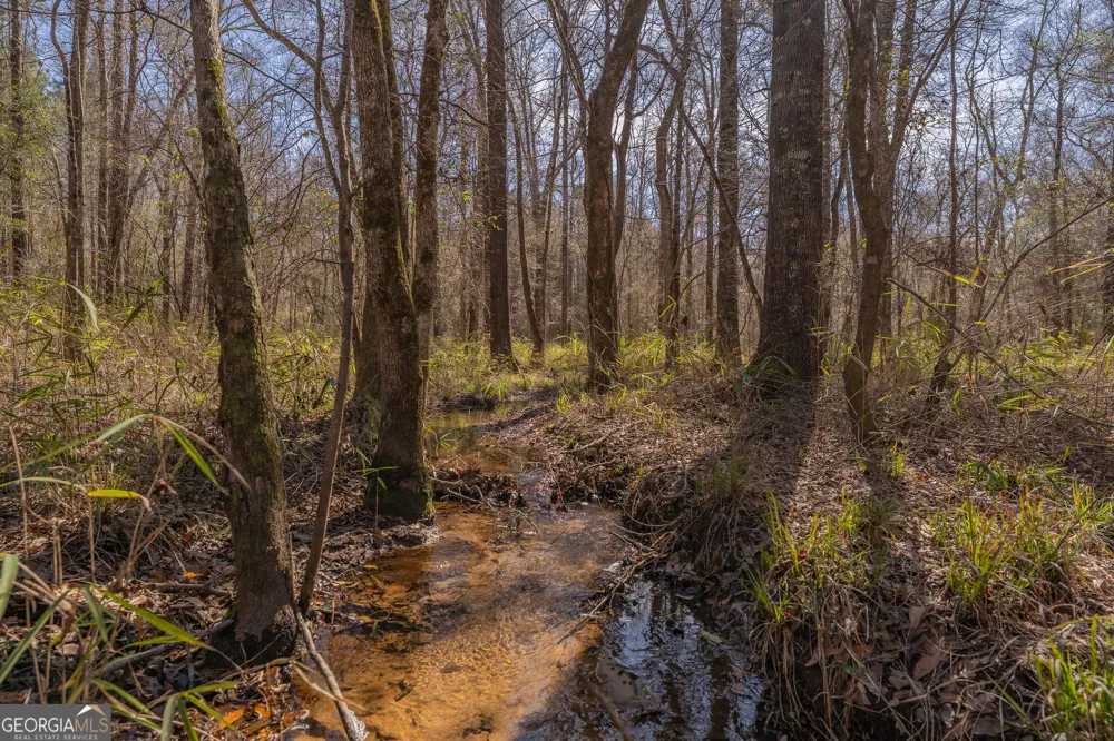 LOT 7 Golf Course RD Eastman, GA 31023